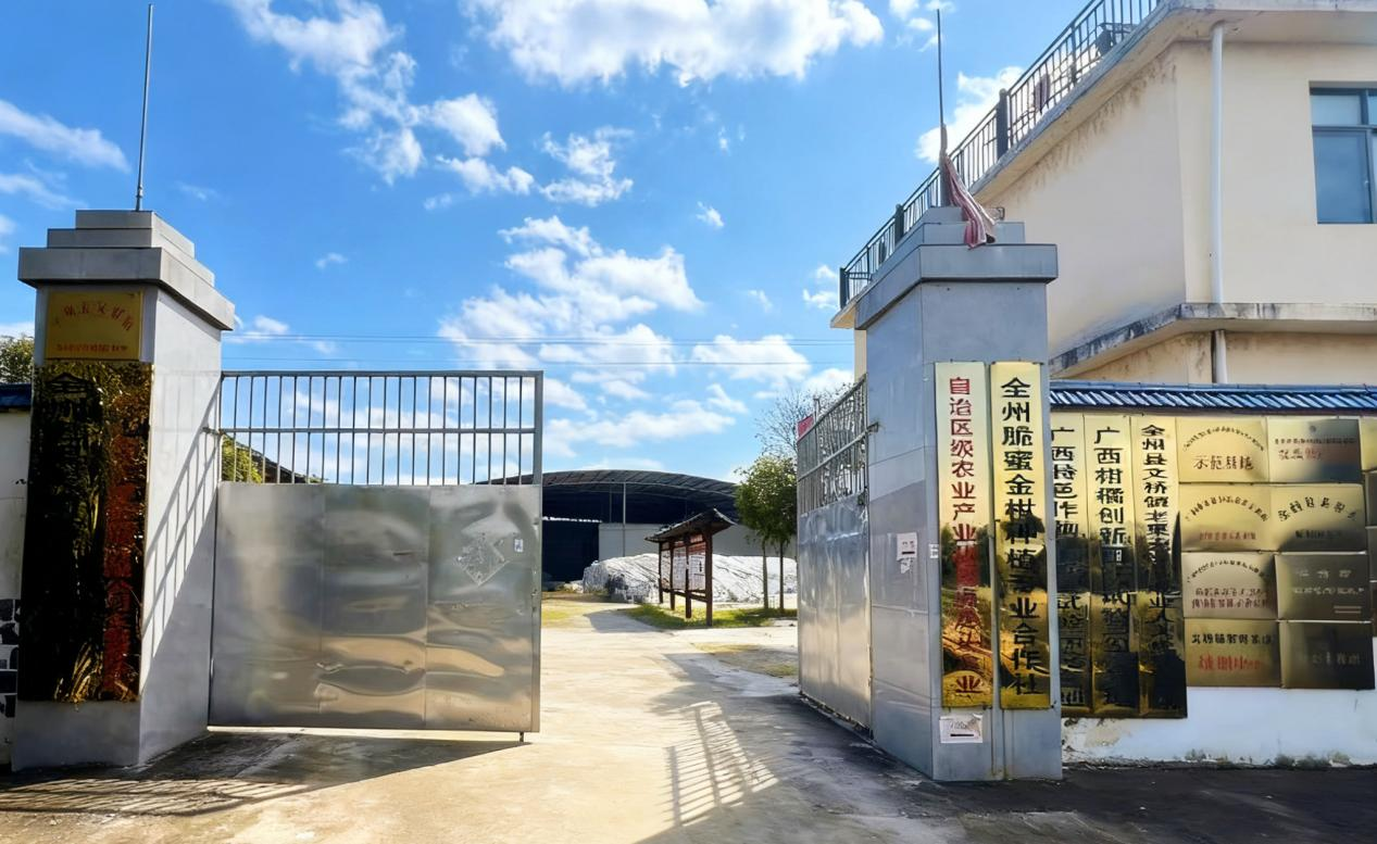 1765172904686781.png 图片5.png